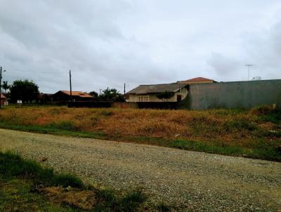 Terreno para Venda, em Balneário Barra do Sul, bairro Centro